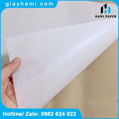 Top 1 Địa Chỉ Phân Phối Giấy Chống Ẩm Đa Công Dụng Uy Tín 2026