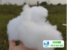 Gòn nhồi gối